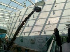 -陕西自然博物馆