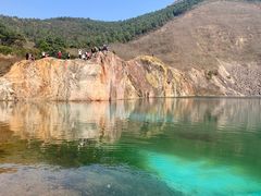 -树山生态村
