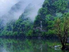 -叠溪松坪沟景区