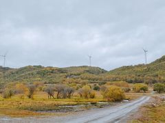 -塞罕坝国家级自然保护区