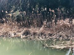 -韩湘水博园