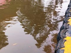 -美心红酒小镇游乐园