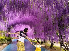 -广东花都香草世界旅游度假区