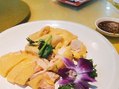 招牌湛江白切鸡-新高记·粤菜·湛江鸡(南头古城店)