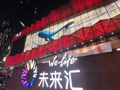 -远洋未来汇