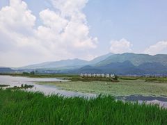 -腾冲北海湿地