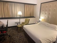 -新加坡富丽华河畔大酒店(SG Clean)