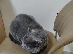 -全心全意连锁动物医院·特色中医诊疗(会城门分院)