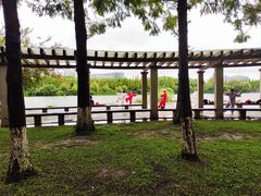 -成都南湖公园