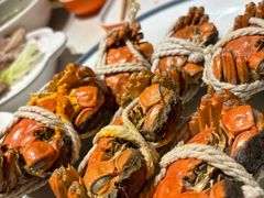-杨氏青龙虾·羊蝎子(托乐嘉店)