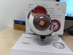 -派美特宠物医院·核磁CT·骨科肿瘤·疑难转诊(沈农禾丰店)
