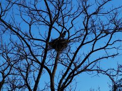 -白水寺森林公园