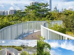 -福田红树林生态公园