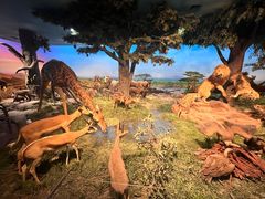 -国家自然博物馆