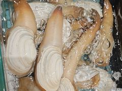 -水禾轩·海鲜蒸汽主题餐厅(拱北店)