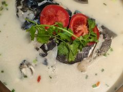 -全乐鱼馆·淳牌有机鱼直营店