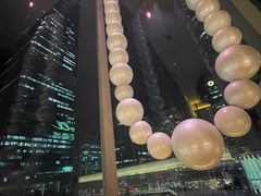 -莉莉海堂HAITANG·烤鸭(国贸商城店)