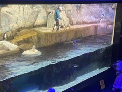 -成都浩海立方海洋公园