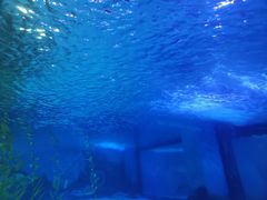-常州海昌海洋探索馆
