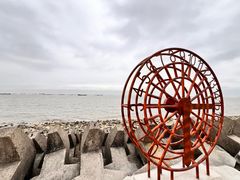 -上海滨江森林公园