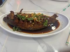 -秦君宝手擀菠菜面(金花路店)