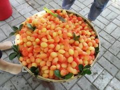 -御林古桑园