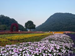 -广州市石门国家森林公园