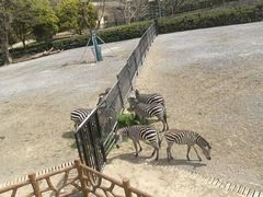 -无锡动物园·太湖欢乐园