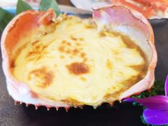 帝王蟹-日进一片海.生腌海鲜火锅.宵夜烧烤(三里屯总店)