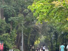 -南宁南湖公园