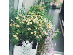 -边渡咖啡烘焙店(昙华林店)