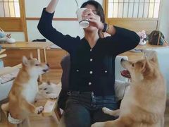 -柴犬小屋·柴餐厅·狗咖食堂(金鼎广场店)