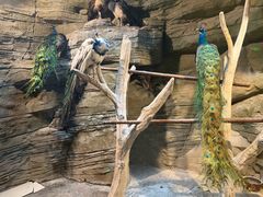 -洛阳龙门海洋馆