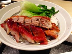 烧鸭加叉烧饭-大家乐(广州中华广场店)