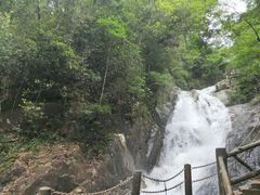 -九龙江国家森林公园