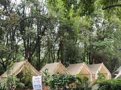 -东坡羽毛球馆(东坡南一路店)