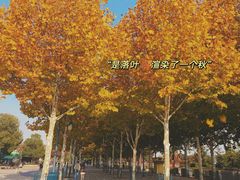 -迪士尼小镇