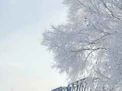 -雾凇岛