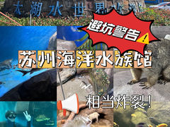 -苏州海洋馆