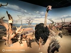 -陕西自然博物馆