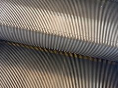 -江边城外烤全鱼(世茂广场店)
