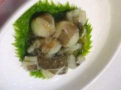 -京樽回転寿司(奥林匹克店)