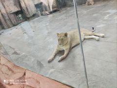 -鄂尔多斯野生动物园