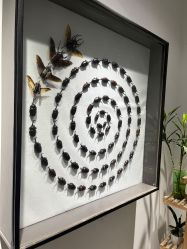 -酷嗒动物文化乐园(cutezoo西溪乐天城店)