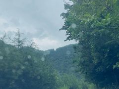-黑河国家森林公园