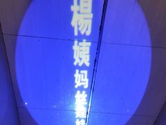 -杨姨妈丝娃娃(花果园店)