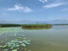 -野鸭湖国家湿地公园