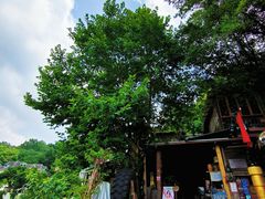 -杭州西湖风景名胜区-满觉陇四眼井