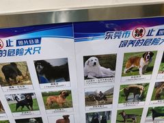 -宠颐生宠物医院外科·内科·皮肤科·影像科(石龙店)