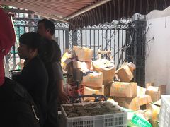 -金太粽(上海弄堂第一粽店)